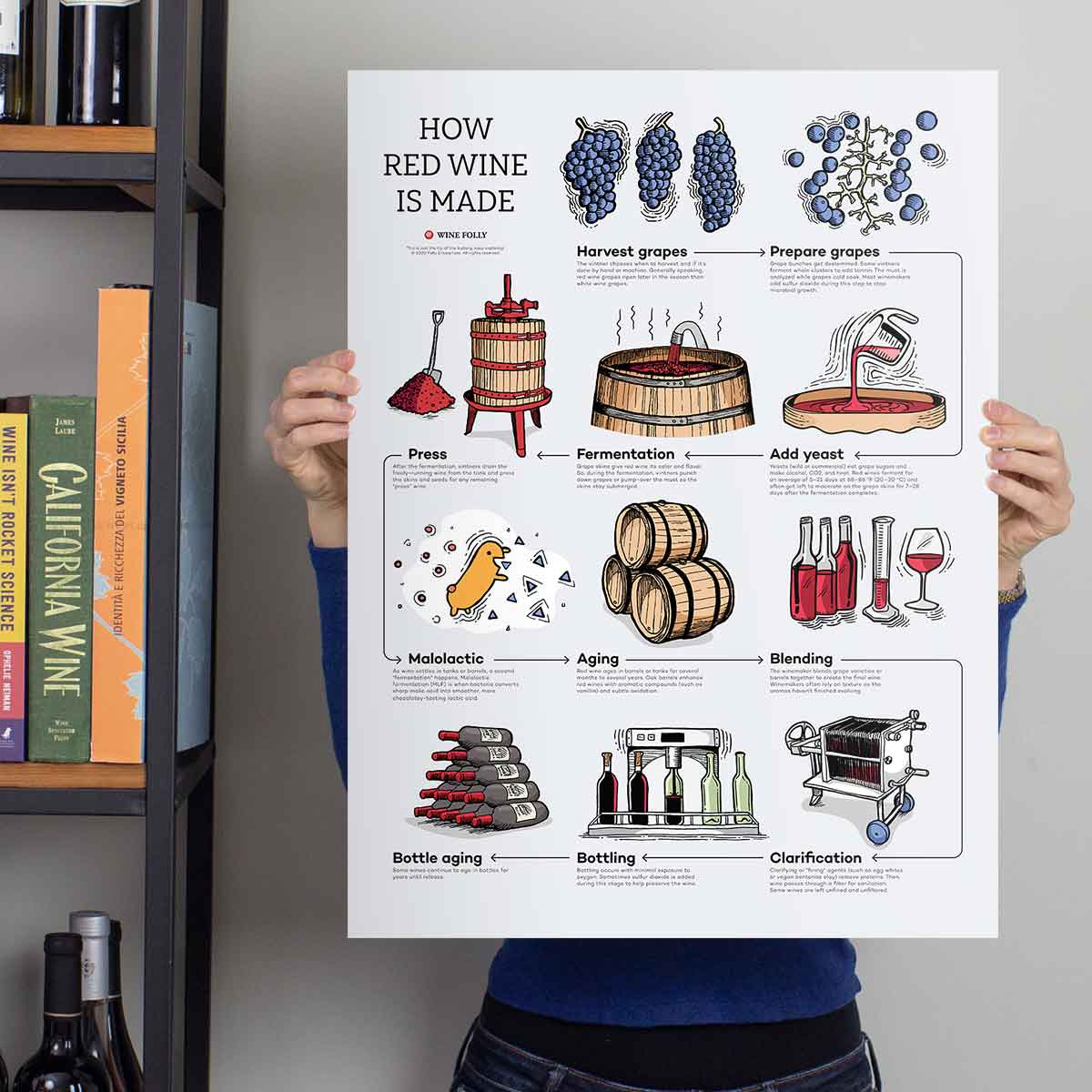 How Red Wine Is Made - Image 2