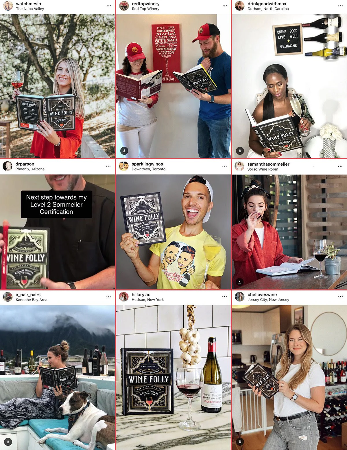 The Master Guide + Wine 101 Online Course - Image 7