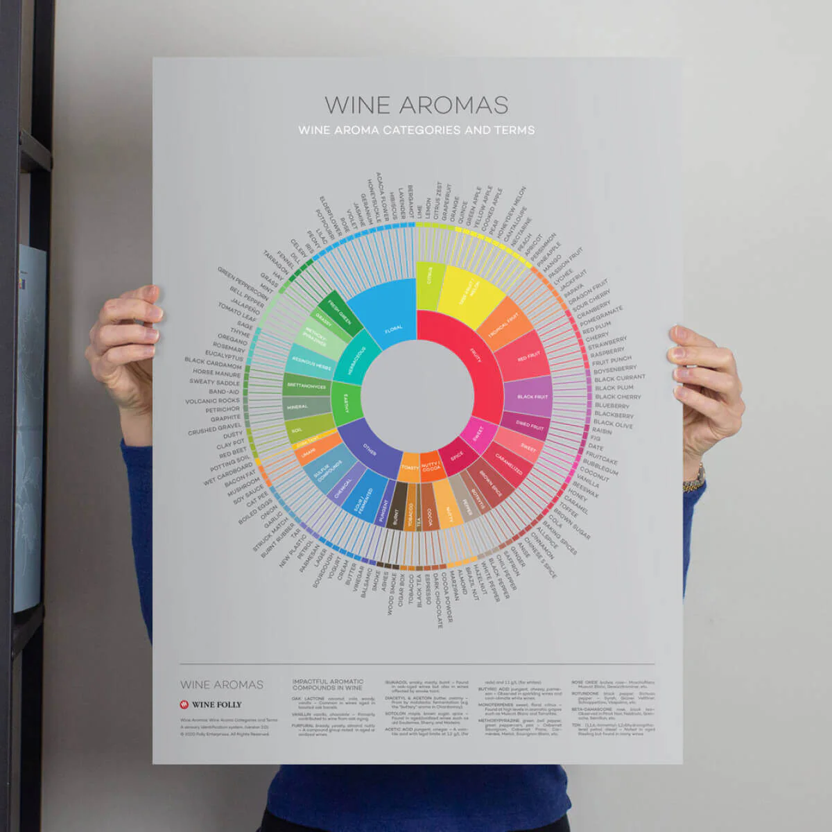 Wine Flavors / Aroma Lexicon - Image 2